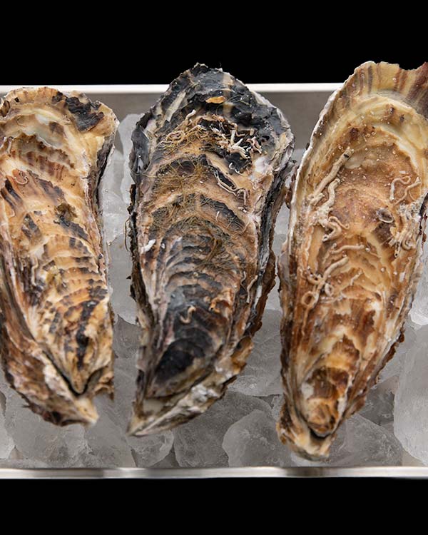 イワムラ水産 生食用秀峰牡蠣