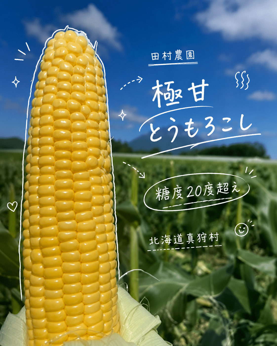 田村農園の恵味ゴールド